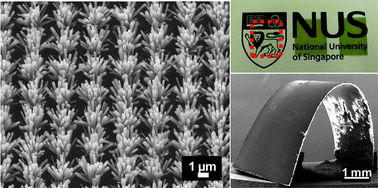 Graphical abstract: Patterned growth of vertically-aligned ZnO nanorods on a flexible platform for feasible transparent and conformable electronics applications