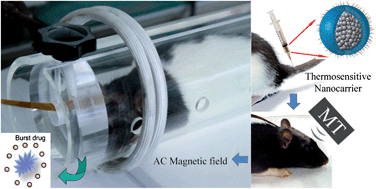 Graphical abstract: Self-assembling PVA-F127 thermosensitive nanocarriers with highly sensitive magnetically-triggered drug release for epilepsy therapy in vivo