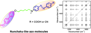 Graphical abstract: Photoinduced orientation in nunchaku-like azo molecular glass studied by birefringence characterization and FT-IR spectroscopy