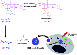 Graphical abstract: Near-infrared light-sensitive micelles for enhanced intracellular drug delivery