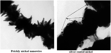 Graphical abstract: Magnetic Ni/Ag core–shell nanostructure from prickly Ni nanowire precursor and its catalytic and antibacterial activity