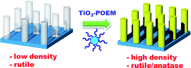 Graphical abstract: Facile fabrication of vertically aligned TiO2 nanorods with high density and rutile/anatase phases on transparent conducting glasses: high efficiency dye-sensitized solar cells