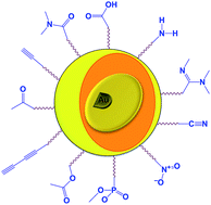 Graphical abstract: Functional self-assembled monolayers (SAMs) of organic compounds on gold nanoparticles