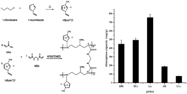 Graphical abstract: A novel ionic liquid polymer material with high binding capacity for proteins