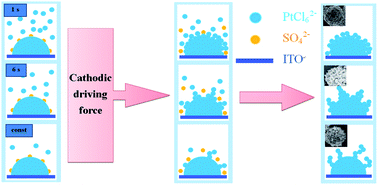 Graphical abstract: A highly efficient dye-sensitized solar cell with a platinum nanoflowers counter electrode