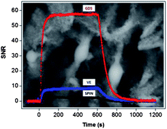 Graphical abstract: Production of novel microporous porphyrin materials with superior sensing capabilities