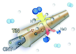 Graphical abstract: Titanium nitride–carbon nanotube core–shell composites as effective electrocatalyst supports for low temperature fuel cells