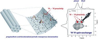 Graphical abstract: Understanding the high catalytic activity of propylsulfonic acid-functionalized periodic mesoporous benzenesilicas by high-resolution 1H solid-state NMR spectroscopy