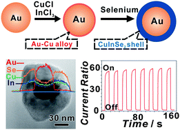 Graphical abstract: Au–Cu alloy bridged synthesis and optoelectronic properties of Au@CuInSe2 core–shell hybrid nanostructures