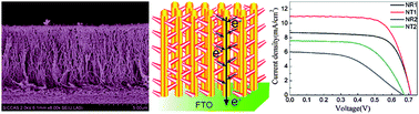 Graphical abstract: Forest-like TiO2 hierarchical structures for efficient dye-sensitized solar cells