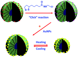 Graphical abstract: Composite silica nanospheres covalently anchored with gold nanoparticles at the outer periphery of thermoresponsive polymer brushes