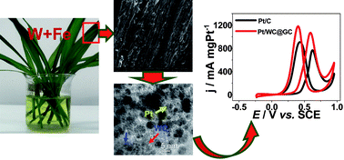 Graphical abstract: A facile route to carbide-based electrocatalytic nanocomposites