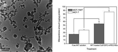 Graphical abstract: Synthesis of calcium phosphate/GPC-mPEG hybrid porous nanospheres for drug delivery to overcome multidrug resistance in human breast cancer