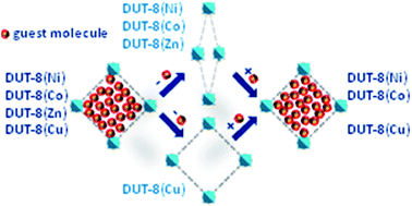 Graphical abstract: Structural flexibility and intrinsic dynamics in the M2(2,6-ndc)2(dabco) (M = Ni, Cu, Co, Zn) metal–organic frameworks