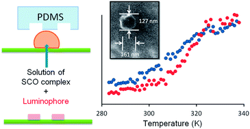 Graphical abstract: Soft lithographic patterning of spin crossover complexes. Part 1: fluorescent detection of the spin transition in single nano-objects