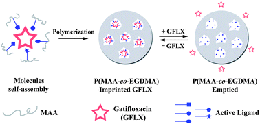 Graphical abstract: Uniform molecularly imprinted poly(methacrylic acid) nanospheres prepared by precipitation polymerization: the control of particle features suitable for sustained release of gatifloxacin