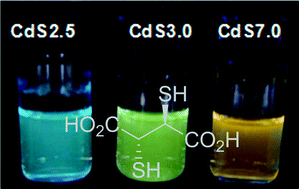 Graphical abstract: Meso-2,3-dimercaptosuccinic acid: from heavy metal chelation to CdS quantum dots