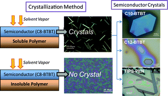 Graphical abstract: Direct formation of organic semiconducting single crystals by solvent vapor annealing on a polymer base film