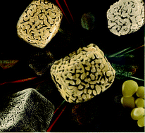 Graphical abstract: Direct synthesis of metal nanoparticles with tunable porosity