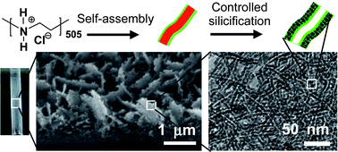 Graphical abstract: Temporally and spatially controlled silicification for self-generating polymer@silica hybrid nanotube on substrates with tunable film nanostructure