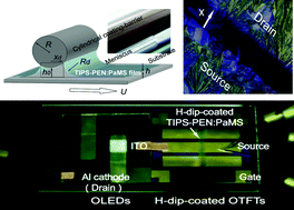 Graphical abstract: High-performance organic thin-film transistors with polymer-blended small-molecular semiconductor films, fabricated using a pre-metered coating process