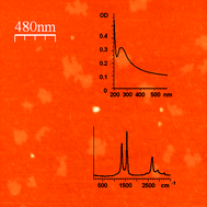 Graphical abstract: Preparation of graphene oxide by solvent-free mechanochemical oxidation of graphite