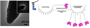 Graphical abstract: Nanocrystalline diamond AFM tips for chemical force spectroscopy: fabrication and photochemical functionalization