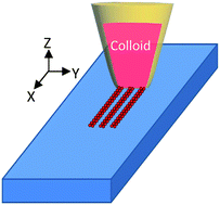 Graphical abstract: Nanoscale convection assisted self-assembly of nanoparticle monolayer