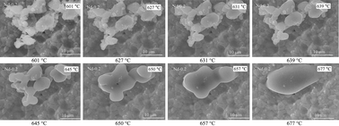 Graphical abstract: Sintering behavior of lanthanide-containing glass-ceramic sealants for solid oxide fuel cells