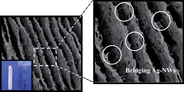 Graphical abstract: Directional freezing of liquid crystalline systems: from silver nanowire/PVA aqueous dispersions to highly ordered and electrically conductive macroporous scaffolds