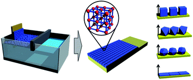 Graphical abstract: Crystal morphology-directed framework orientation in porous coordination polymer films and freestanding membranes via Langmuir–Blodgettry