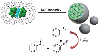 Graphical abstract: Supramolecular assembly of chiral polyoxometalate complexes for asymmetric catalytic oxidation of thioethers