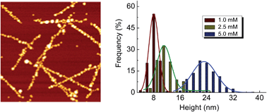 Graphical abstract: Biotemplated fabrication of size controlled palladium nanoparticle chains