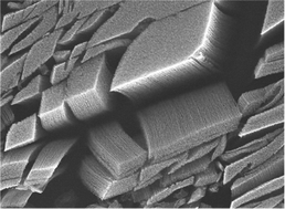 Graphical abstract: Synthesis of a forest of double/triple walled CNTs of uniform diameters by plasma enhanced CVD using monodisperse iron oxide nanoparticles