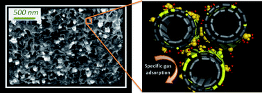 Graphical abstract: Activation of gold decorated carbon nanotube hybrids for targeted gas adsorption and enhanced catalytic oxidation