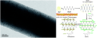 Graphical abstract: Facile and green synthesis of well-dispersed Au nanoparticles in PAN nanofibers by tea polyphenols