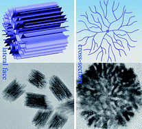 Graphical abstract: Three-dimensional gold nanodendrimers: never conglomerating nanocatalyst