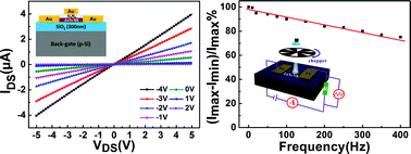 Graphical abstract: Device structure-dependent field-effect and photoresponse performances of p-type ZnTe:Sb nanoribbons