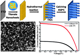 Graphical abstract: Growth of single-crystalline rutile TiO2 nanowire array on titanate nanosheet film for dye-sensitized solar cells