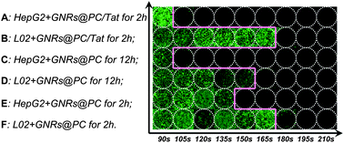 Graphical abstract: Fast and selective cancer cell uptake of therapeutic gold nanorods by surface modifications with phosphorylcholine and Tat