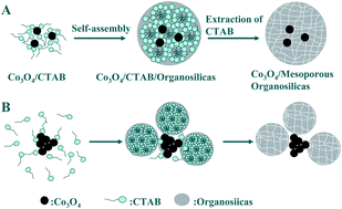 Graphical abstract: Activity enhancement of Microperoxide-11 immobilized on nanospheres with a nanosize Co3O4 core and a periodic mesoporous organosilica shell