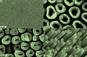 Graphical abstract: Morphology control of 1D noble metal nano/heterostructures towards multi-functionality