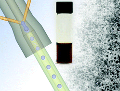 Graphical abstract: Direct synthesis of dextran-coated superparamagnetic iron oxide nanoparticles in a capillary-based droplet reactor