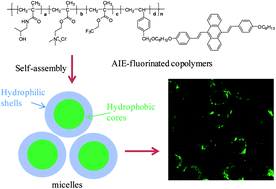 Graphical abstract: Using fluorine-containing amphiphilic random copolymers to manipulate the quantum yields of aggregation-induced emission fluorophores in aqueous solutions and the use of these polymers for fluorescent bioimaging