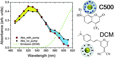 Graphical abstract: Gain functionalized core–shell nanoparticles: the way to selectively compensate absorptive losses