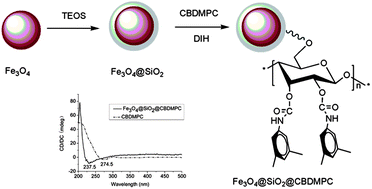 Graphical abstract: A general chiral selector immobilized on silica magnetic microspheres for direct separation of racemates