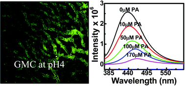 Graphical abstract: Enhanced fluorescent intensity of graphene oxide–methyl cellulose hybrid in acidic medium: Sensing of nitro-aromatics