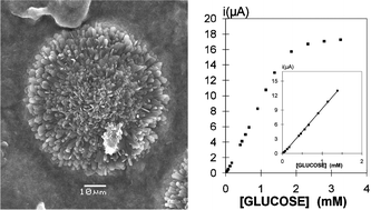 Graphical abstract: A general route to nanostructured M[V3O8] and Mx[V6O16] (x = 1 and 2) and their first evaluation for building enzymatic biosensors