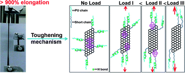 Graphical abstract: Constructing sacrificial bonds and hidden lengths for ductile graphene/polyurethane elastomers with improved strength and toughness