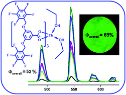 Graphical abstract: Bright green luminescent molecular terbium plastic materials derived from 3,5-bis(perfluorobenzyloxy)benzoate